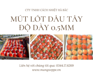 mut-lot-dau-tay-tai-Binh-Duong