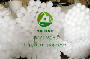 xop-cam-hoa-sap