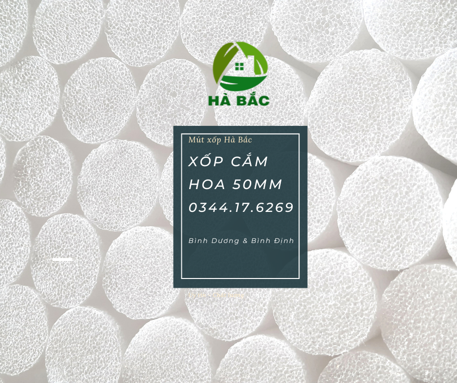 si-xop-cam-hoa-sap-5cm-tai-binh-duong si-xop-cam-hoa-sap-5cm-tai-binh-duong