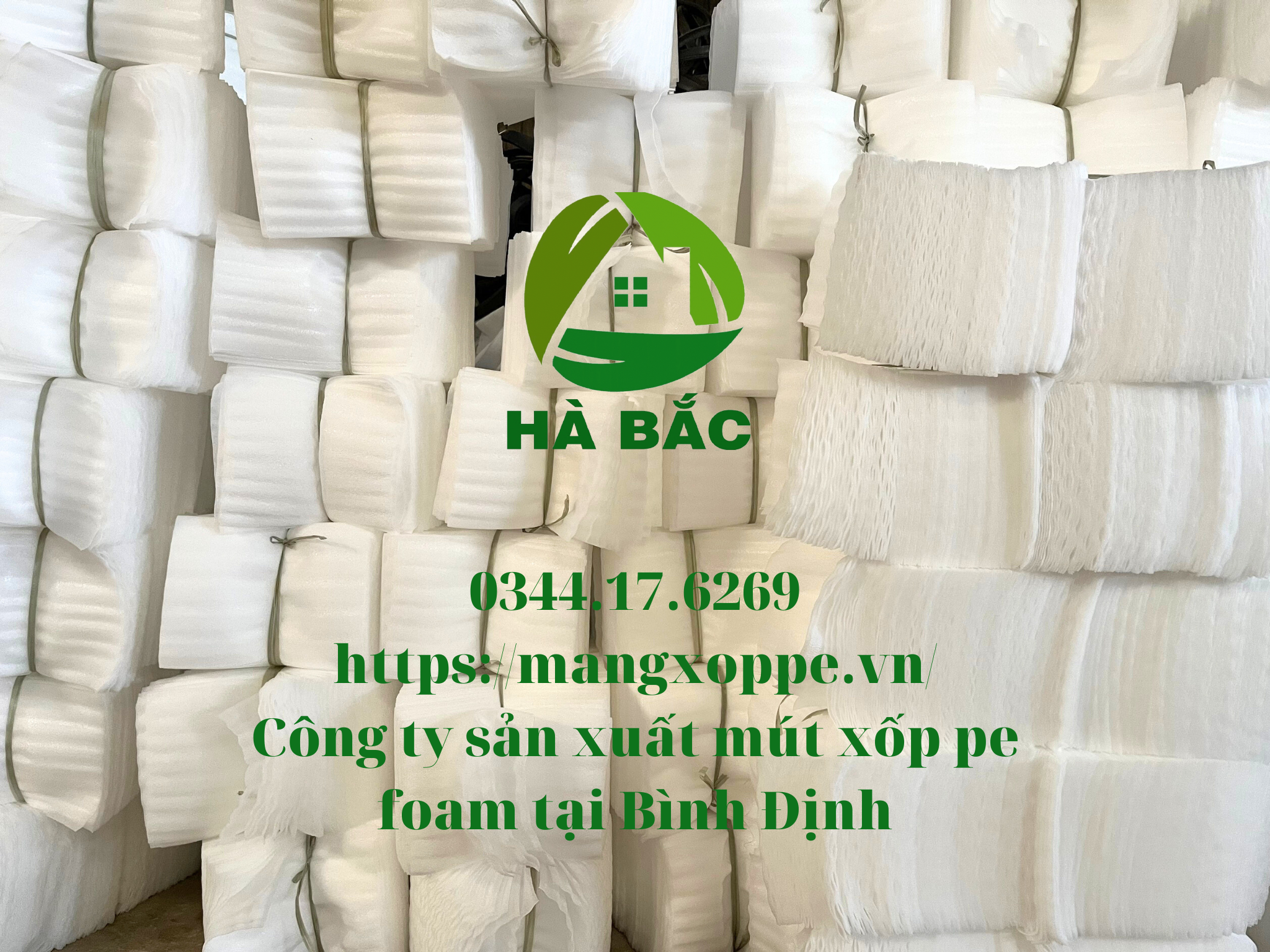 cong-ty-san-xuat-mut-xop-pe-foam-tai-binh-dinh cong-ty-san-xuat-mut-xop-pe-foam-tai-binh-dinh
