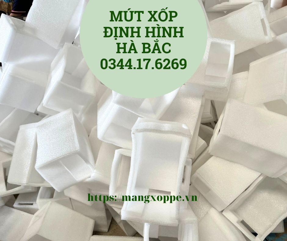 cong-ty-san-xuat-mút-xop-pe-foam-tai-binh-dinh cong-ty-san-xuat-mút-xop-pe-foam-tai-binh-dinh
