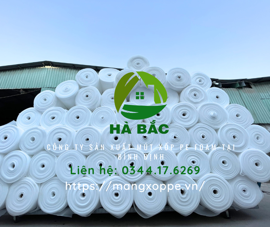 cong-ty-san-xuat-mut-xop-pe-foam-tai-binh-dinh cong-ty-san-xuat-mut-xop-pe-foam-tai-binh-dinh