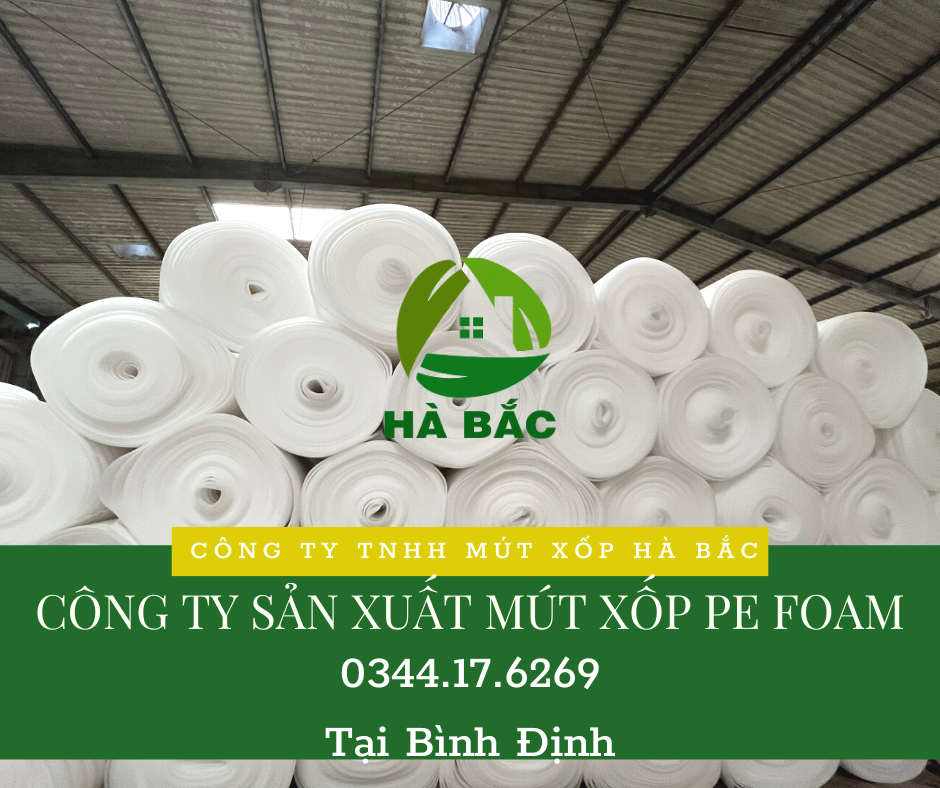 cong-ty-san-xuat-mut-xop-pe-foam-tai-binh-dinh cong-ty-san-xuat-mut-xop-pe-foam-tai-binh-dinh