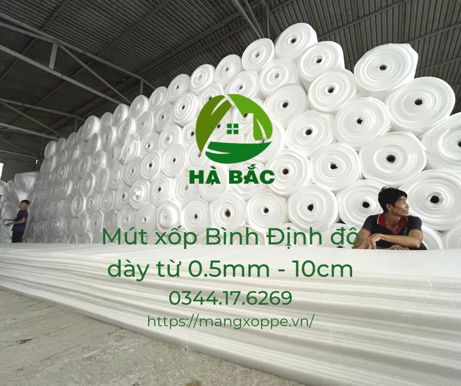 cong-ty-san-xuat-mut-xop-pe-foam-tai-binh-dinh cong-ty-san-xuat-mut-xop-pe-foam-tai-binh-dinh