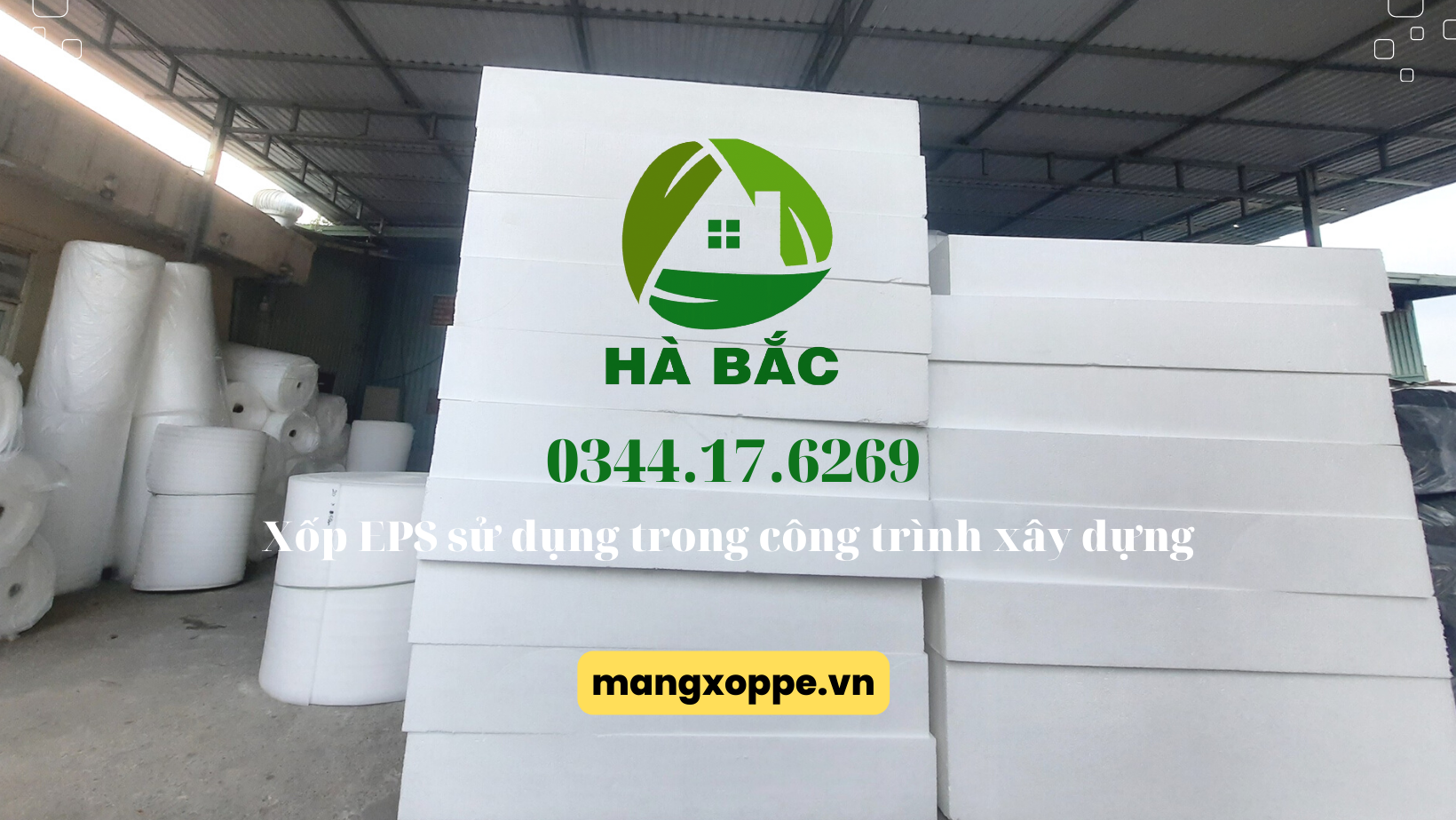 cong-ty-san-xuat-mut-xop-pe-foam-tai-binh-dinh cong-ty-san-xuat-mut-xop-pe-foam-tai-binh-dinh