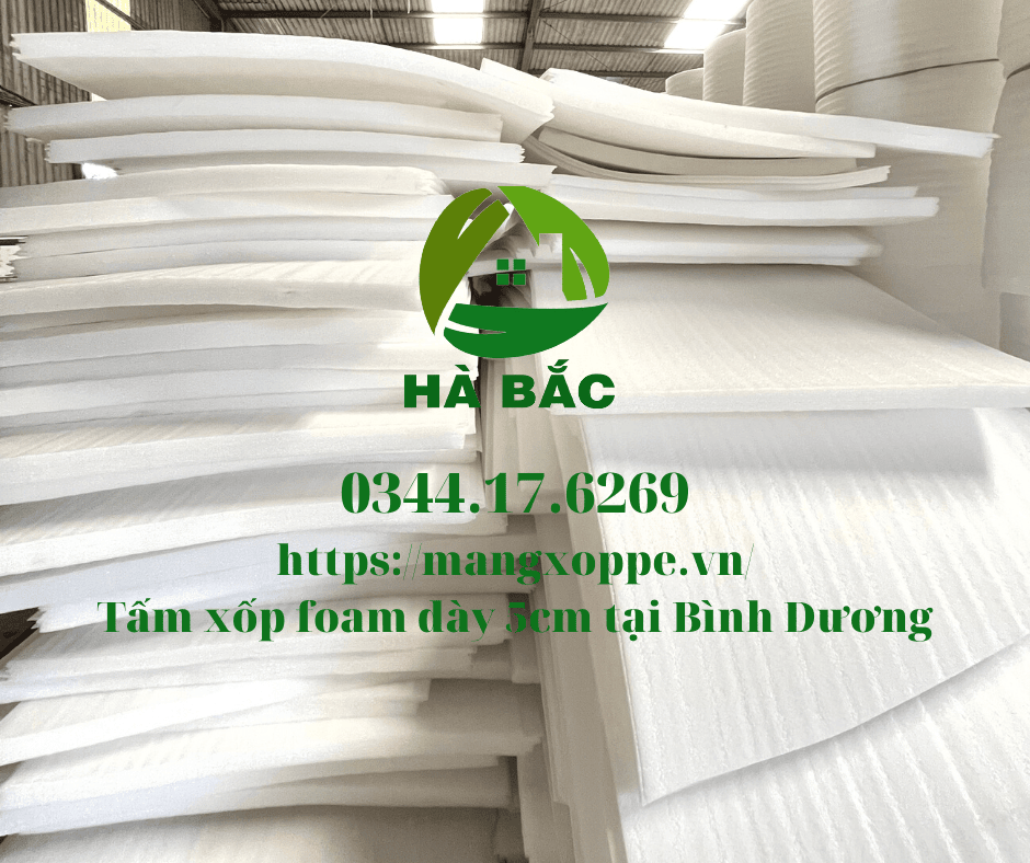 tam-xop-foam-day-5cm-tai-binh-duong tam-xop-foam-day-5cm-tai-binh-duong
