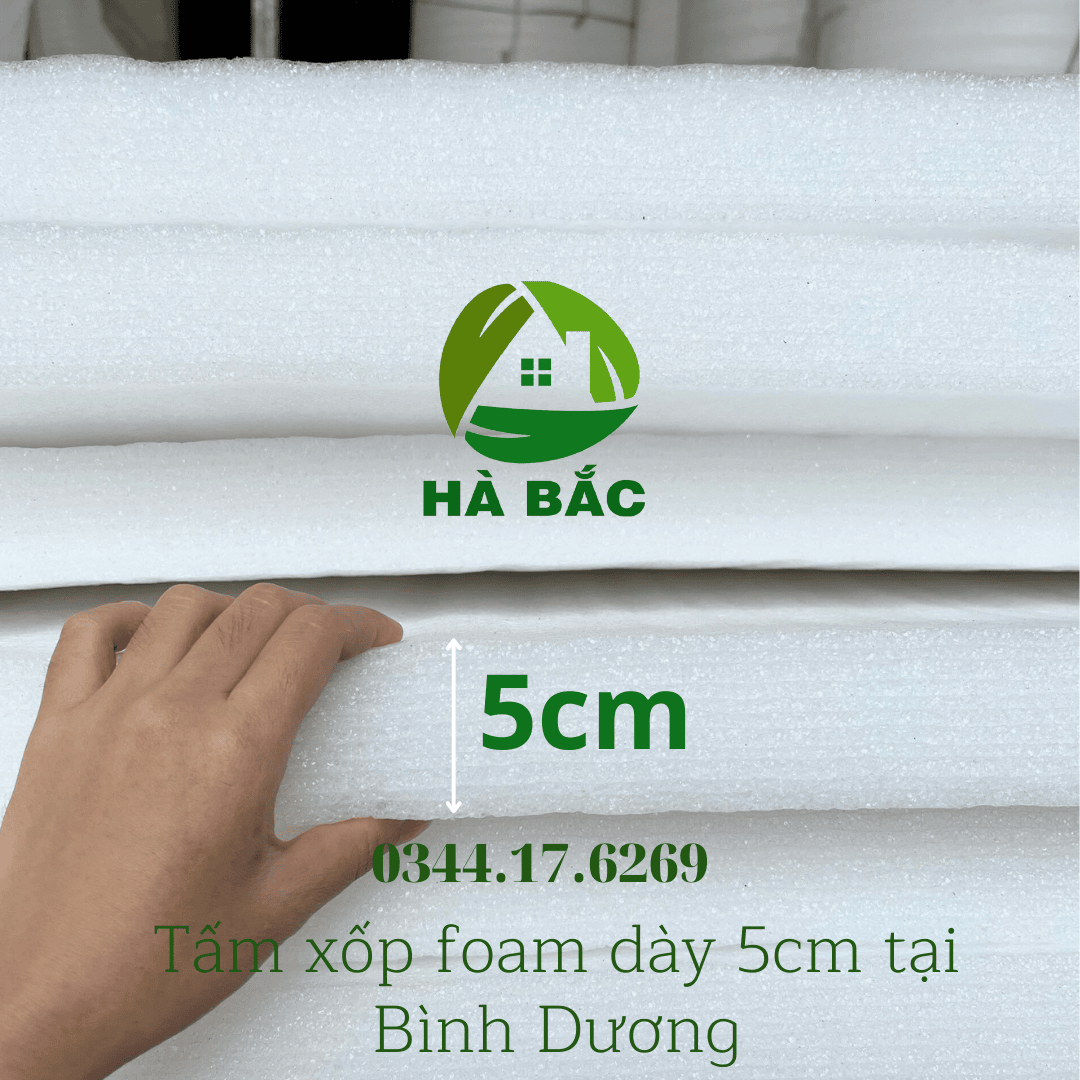 tam-xop-foam-day-5cm-tai-binh-duong tam-xop-foam-day-5cm-tai-binh-duong