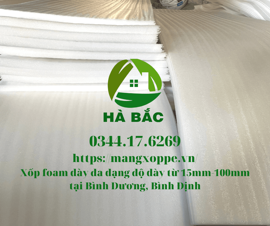 tam-xop-foam-day-5cm-tai-binh-duong tam-xop-foam-day-5cm-tai-binh-duong