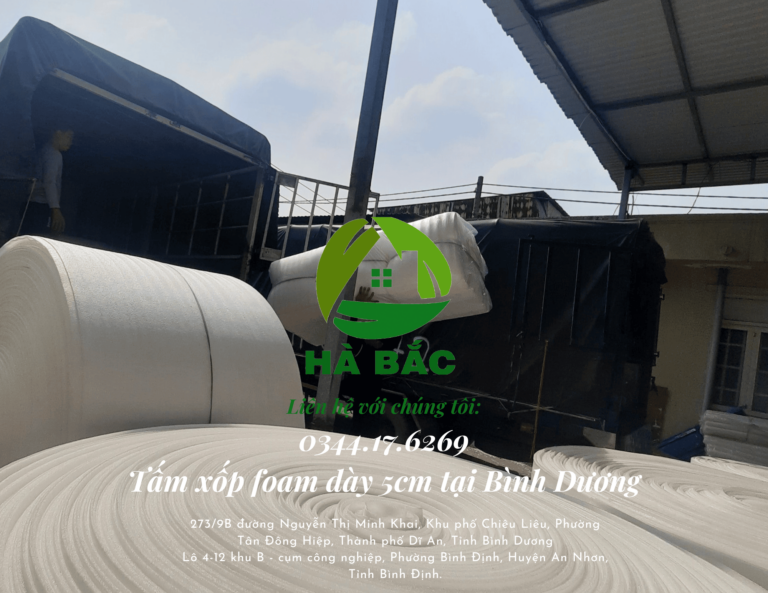 tam-xop-foam-day-5cm-tai-binh-duong