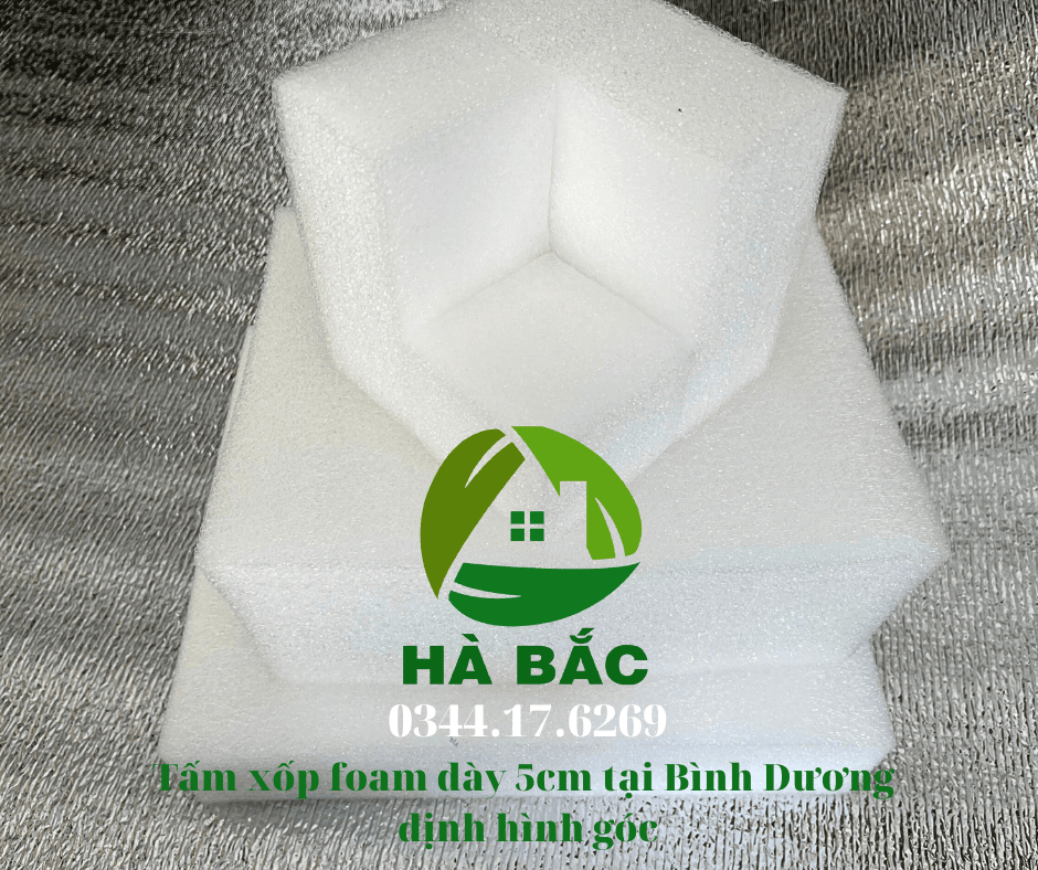 tam-xop-foam-day-5cm-tai-binh-duong tam-xop-foam-day-5cm-tai-binh-duong