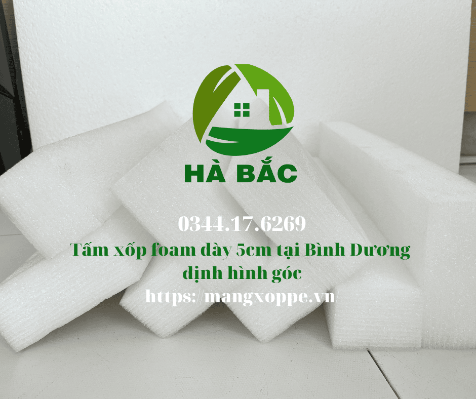 tam-xop-foam-day-5cm-tai-binh-duong tam-xop-foam-day-5cm-tai-binh-duong