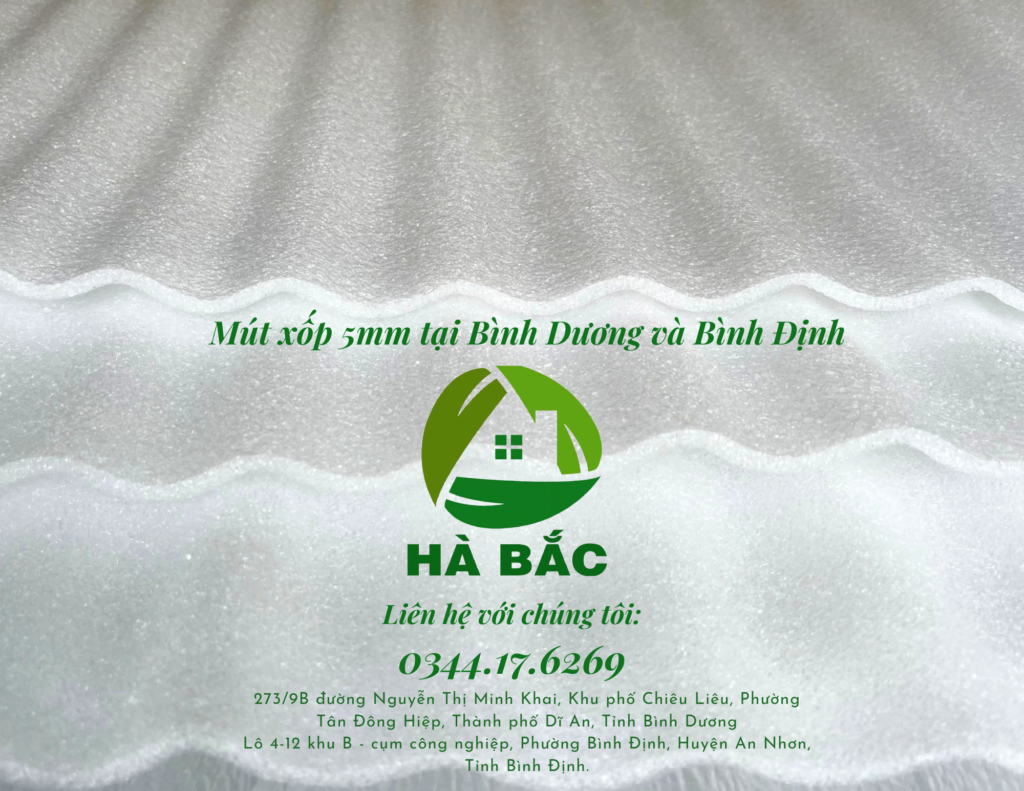 mut-xop-foam-tai-binh-duong