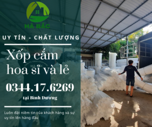 xop-cam-hoa-tai-binh-duong