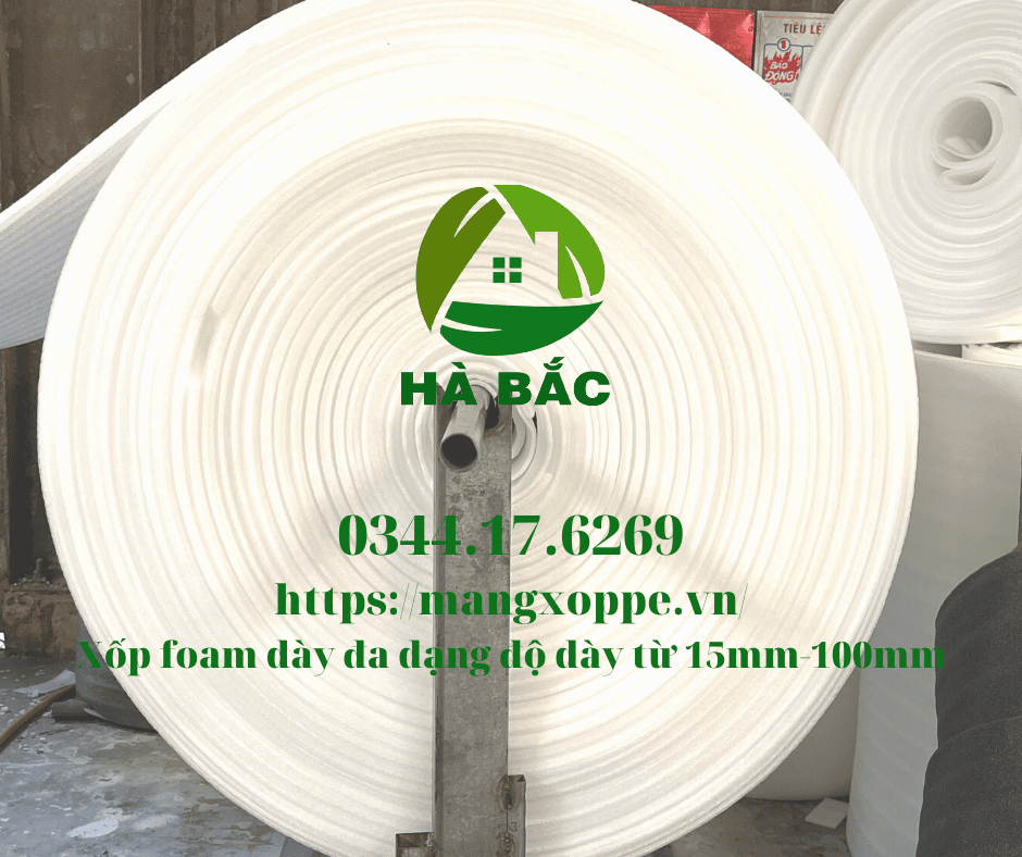 tam-xop-foam-day-5cm-tai-binh-duong tam-xop-foam-day-5cm-tai-binh-duong