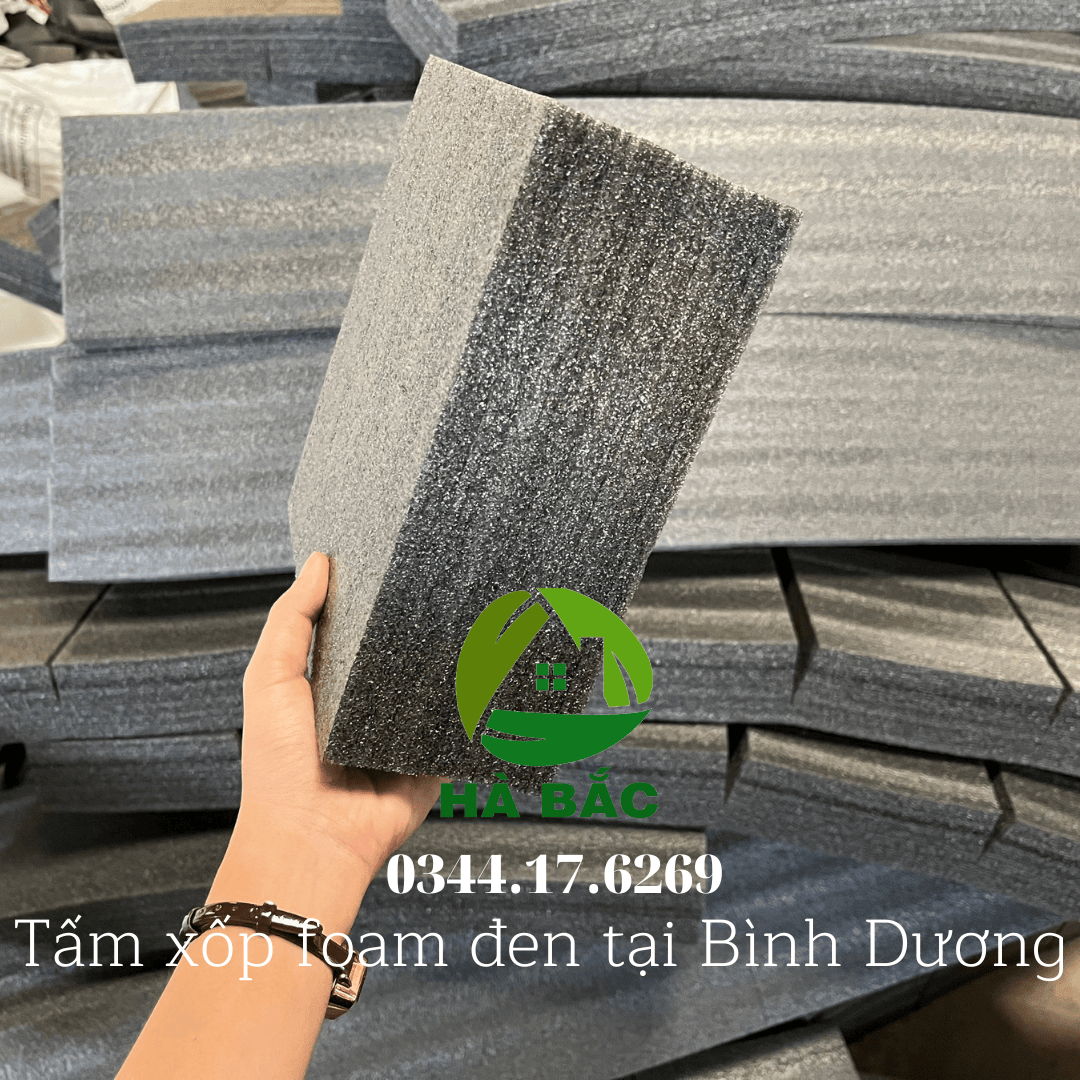 tam-xop-foam-day-5cm-tai-binh-duong tam-xop-foam-day-5cm-tai-binh-duong
