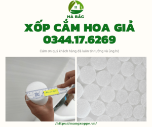 xop-cam-hoa-tai-binh-duong