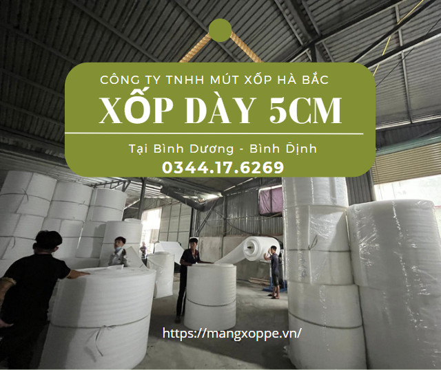 xop-pe-foam-day-5cm-tai-binh-dinh xop-pe-foam-day-5cm-tai-binh-dinh