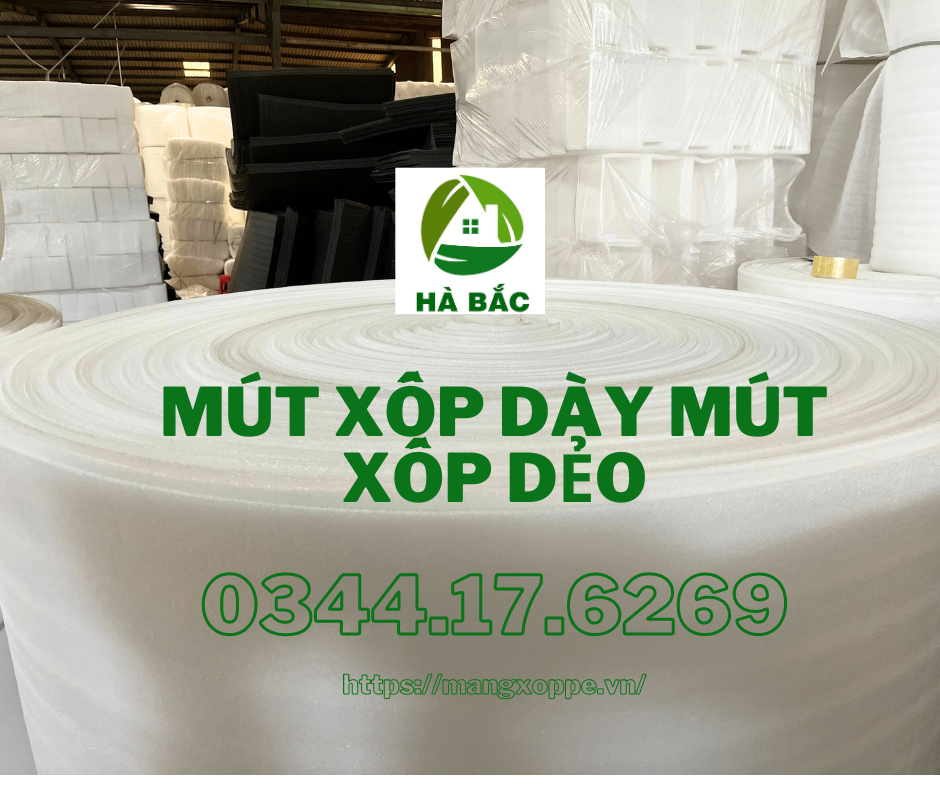 mut-xop-day-mut-xop-deo-lam-rong-phuong mut-xop-day-mut-xop-deo-lam-rong-phuong