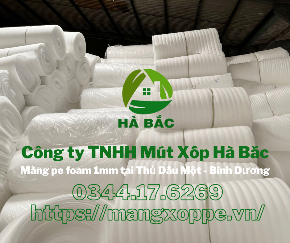 mang-pe-foam-1mm-tai-thu-dau-mot-binh-duong mang-pe-foam-1mm-tai-thu-dau-mot-binh-duong