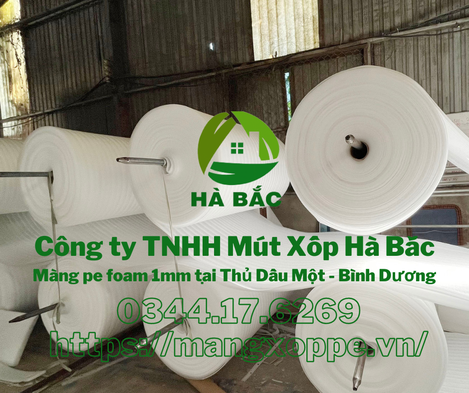 mang-pe-foam-1mm-tai-thu-dau-mot-binh-duong mang-pe-foam-1mm-tai-thu-dau-mot-binh-duong