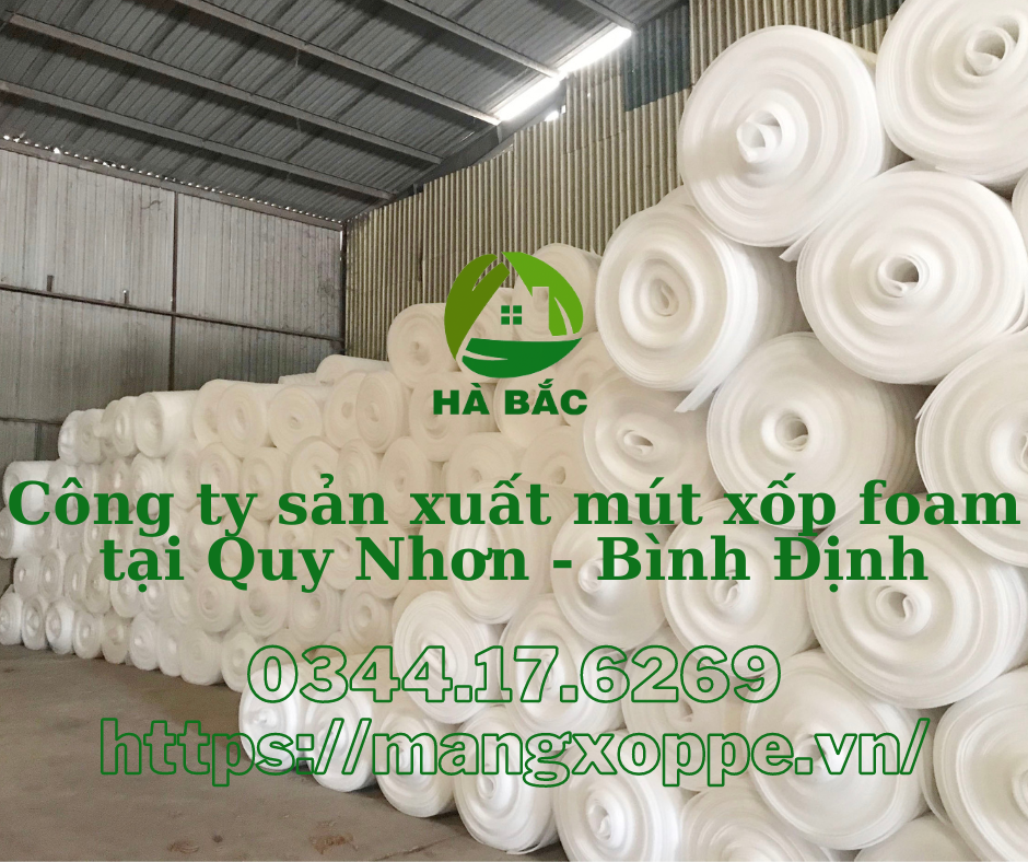 cong-ty-san-xuat-mut-xop-foam-tai-quy-nhon-binh-dinh cong-ty-san-xuat-mut-xop-foam-tai-quy-nhon-binh-dinh