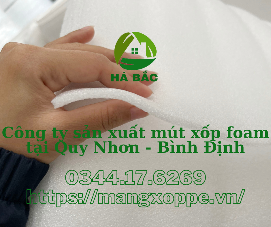 cong-ty-san-xuat-mut-xop-foam-tai-quy-nhon-binh-dinh cong-ty-san-xuat-mut-xop-foam-tai-quy-nhon-binh-dinh