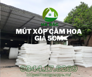 mut-xop-cam-hoa-gia-5cm-tai-thu-dau-mot-binh-duong