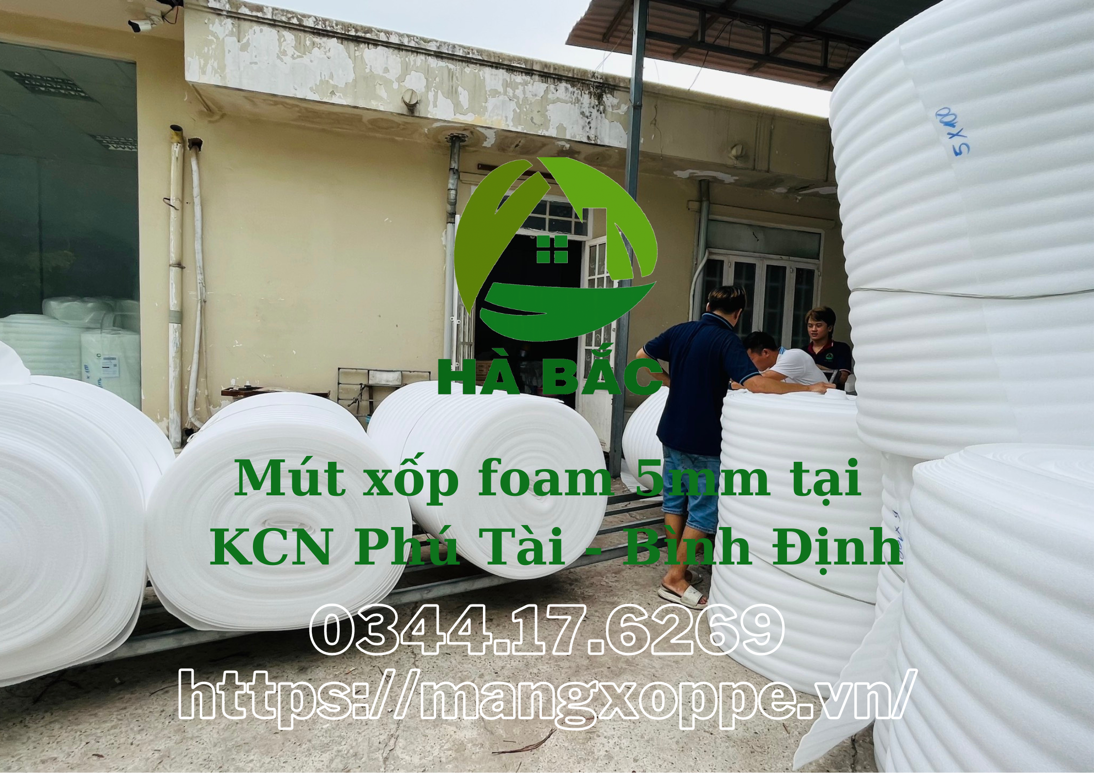 mut-xop-foam-5mm-tai-kcn-phu-tai-binh-dinh mut-xop-foam-5mm-tai-kcn-phu-tai-binh-dinh