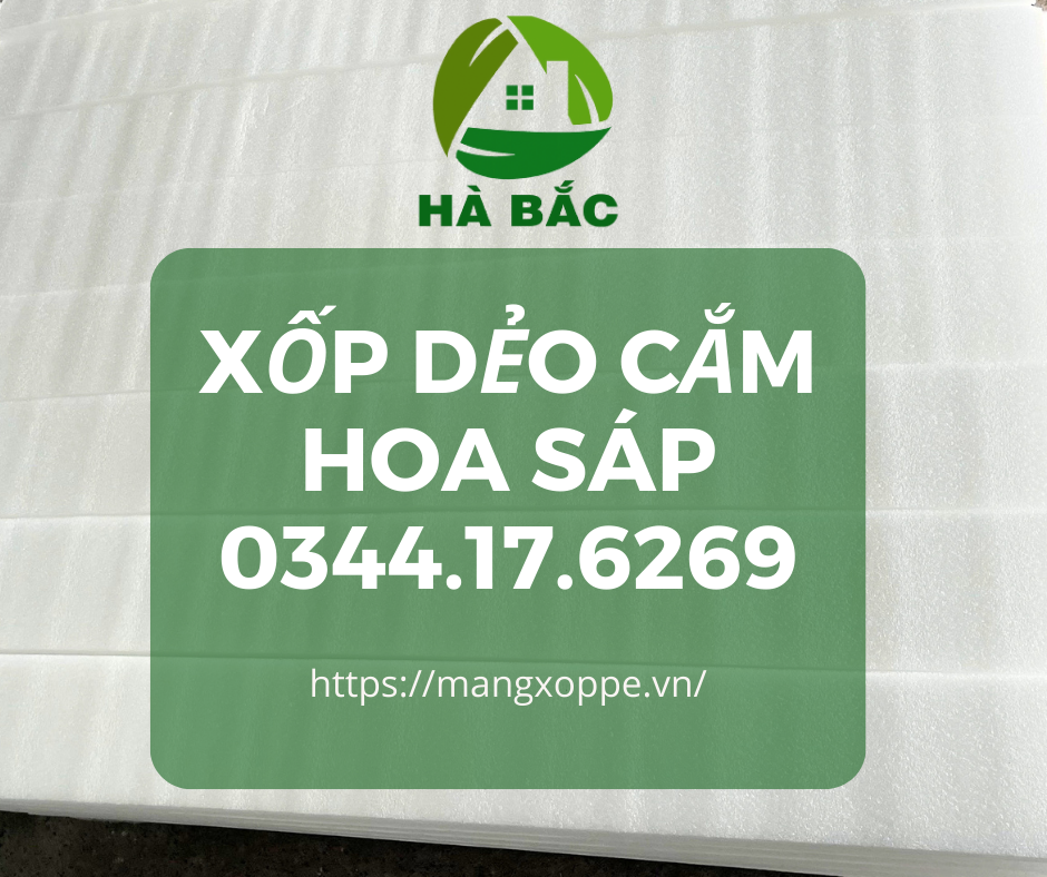 tam-mut-xop-deo-cam-hoa-sap-tai-tien-giang tam-mut-xop-deo-cam-hoa-sap-tai-tien-giang