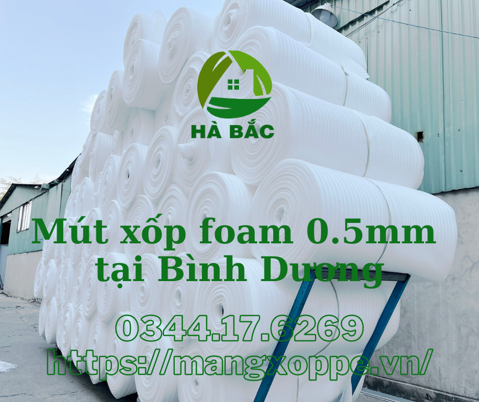 mut-xop-foam-0.5mm-tai-binh-duong
