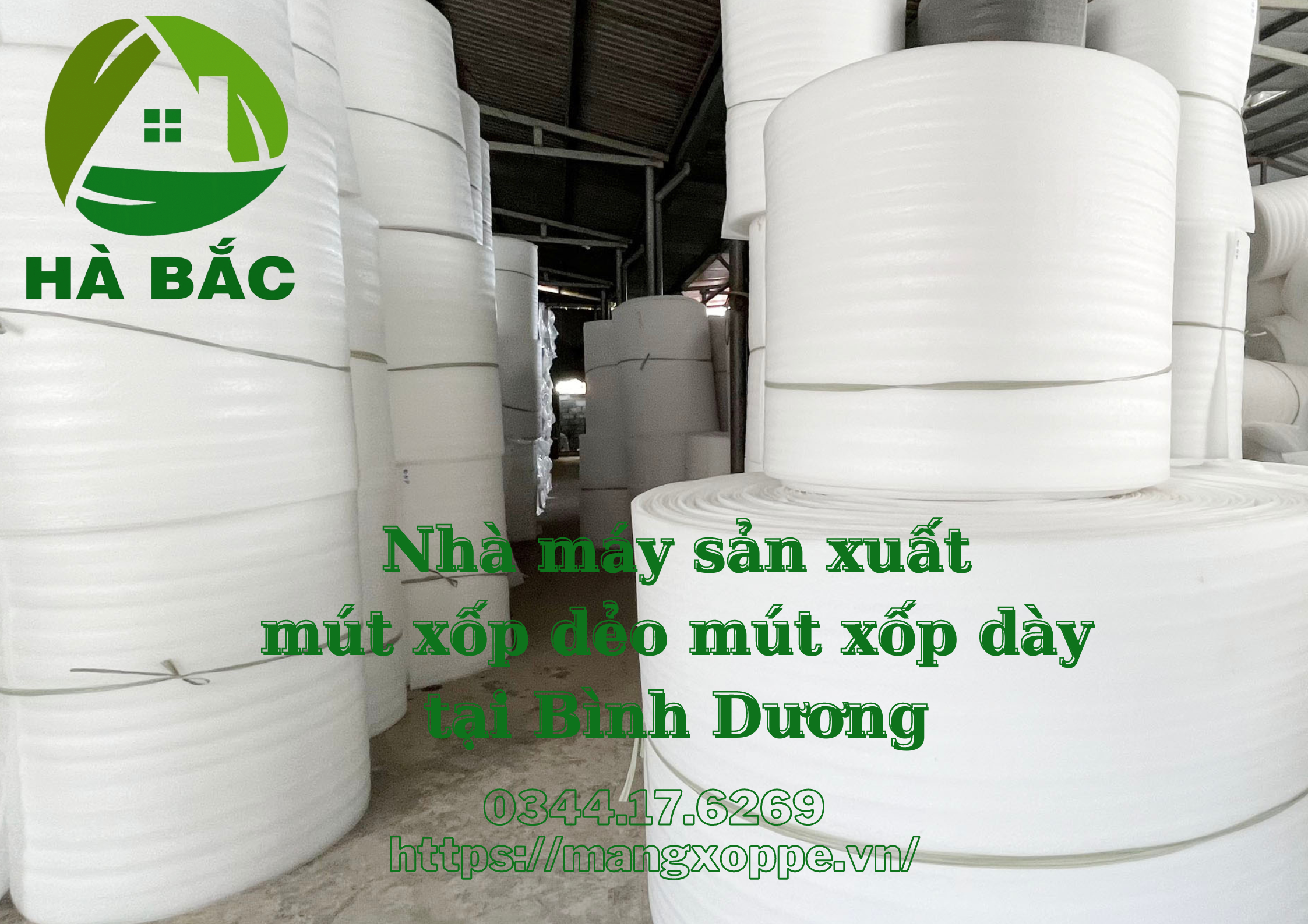 mut-xop-day-mut-xop-deo-tai-binh-duong mut-xop-day-mut-xop-deo-tai-binh-duong