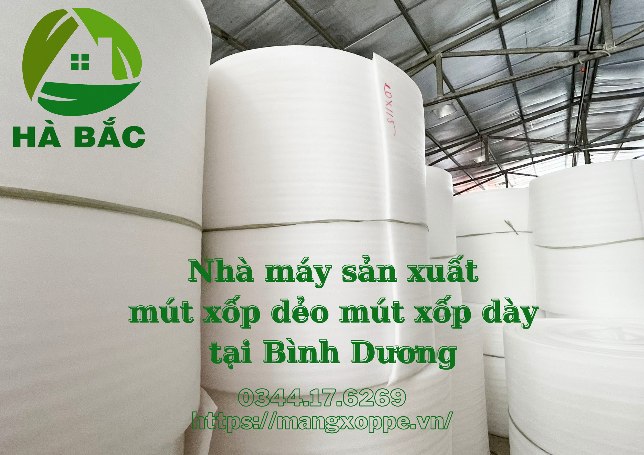 mut-xop-day-mut-xop-deo-tai-binh-duong mut-xop-day-mut-xop-deo-tai-binh-duong