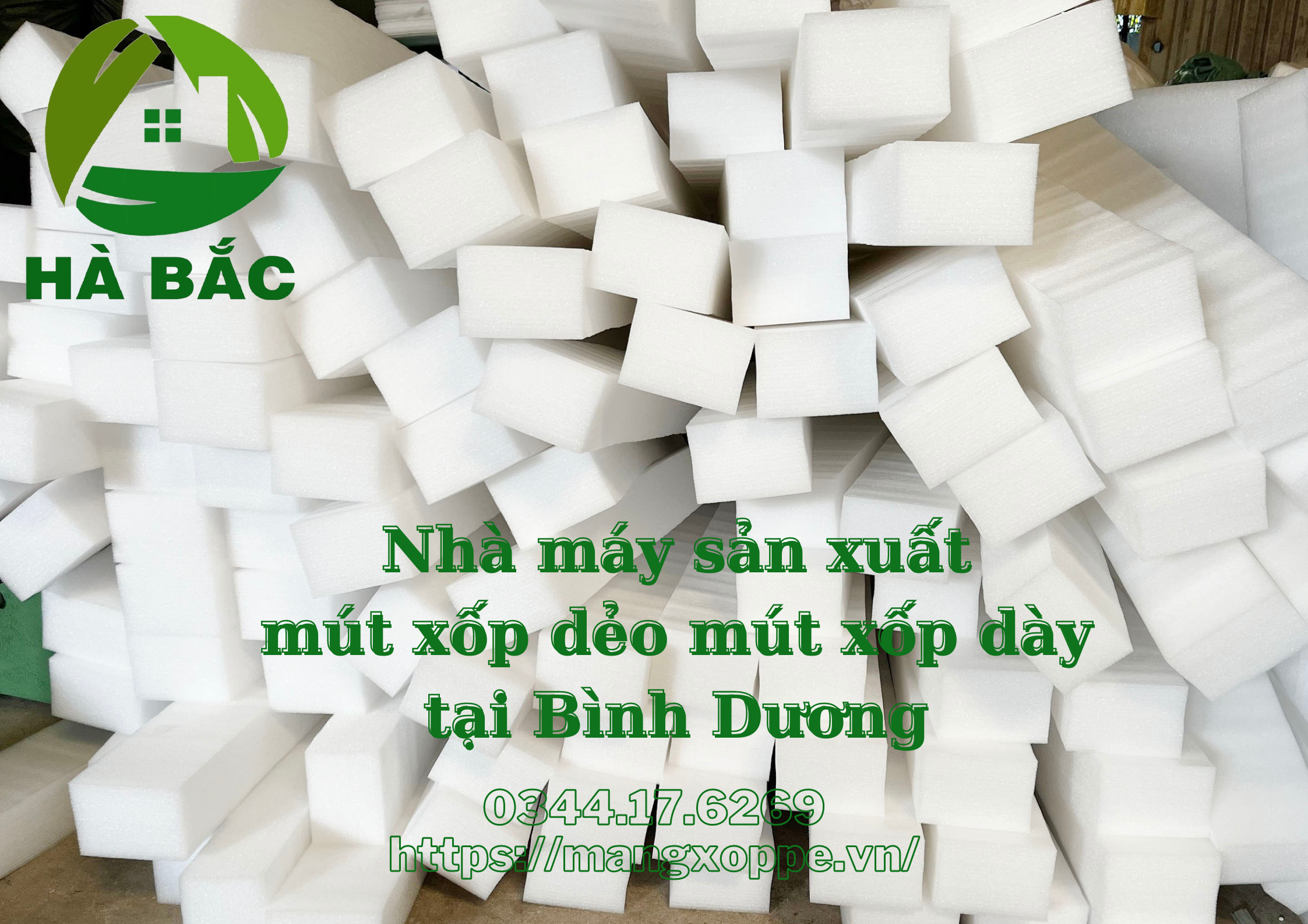 mut-xop-day-mut-xop-deo-tai-binh-duong mut-xop-day-mut-xop-deo-tai-binh-duong