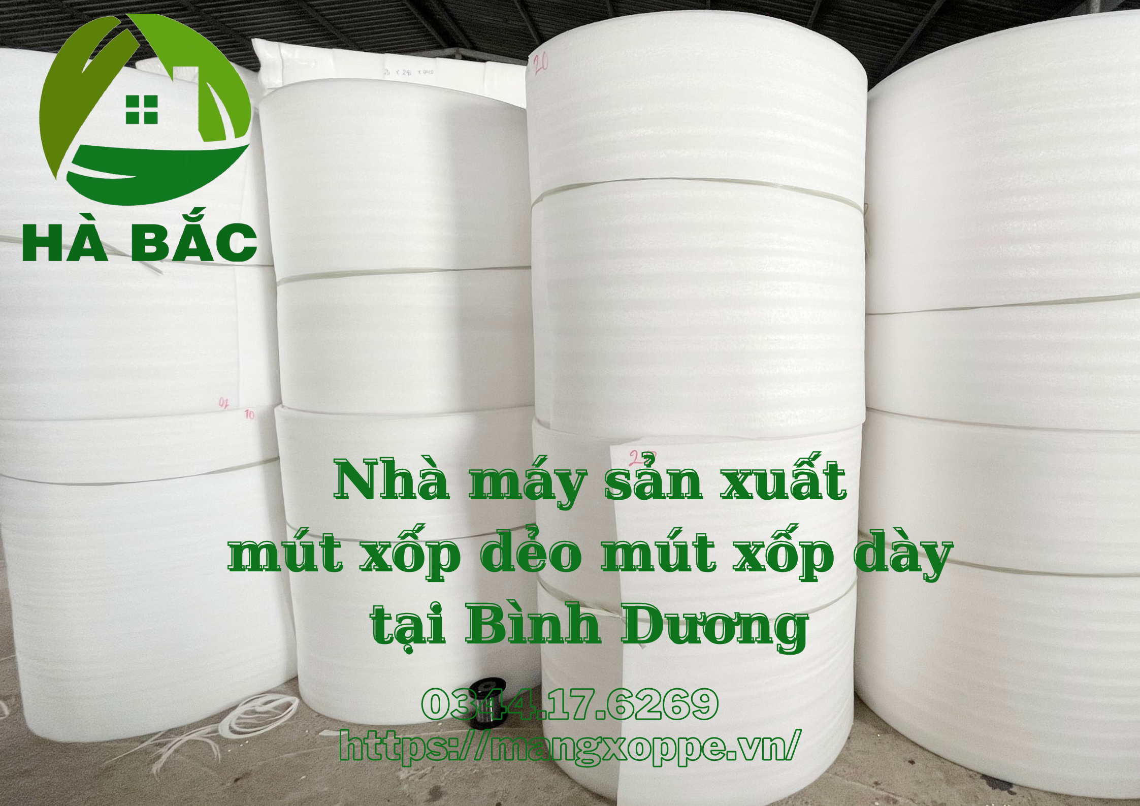 mut-xop-day-mut-xop-deo-tai-binh-duong mut-xop-day-mut-xop-deo-tai-binh-duong