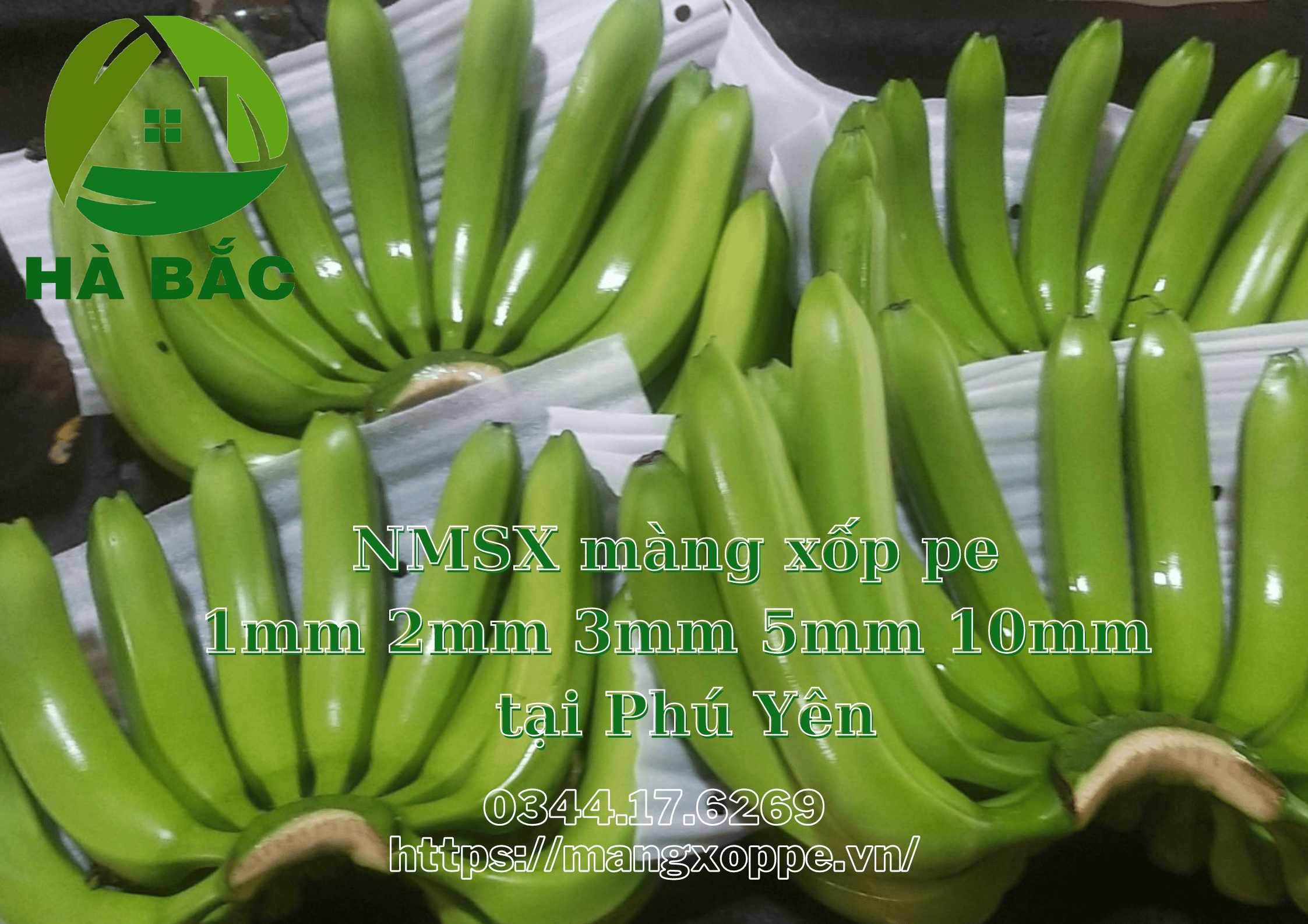 mang-xop-pe-1mm-2mm-3mm-5mm-10mm mang-xop-pe-1mm-2mm-3mm-5mm-10mm