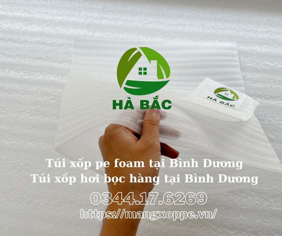 tui-xop-pe-foam-tai-binh-duong-tui-xop-hoi-boc-hang-tai-binh-duong tui-xop-pe-foam-tai-binh-duong-tui-xop-hoi-boc-hang-tai-binh-duong