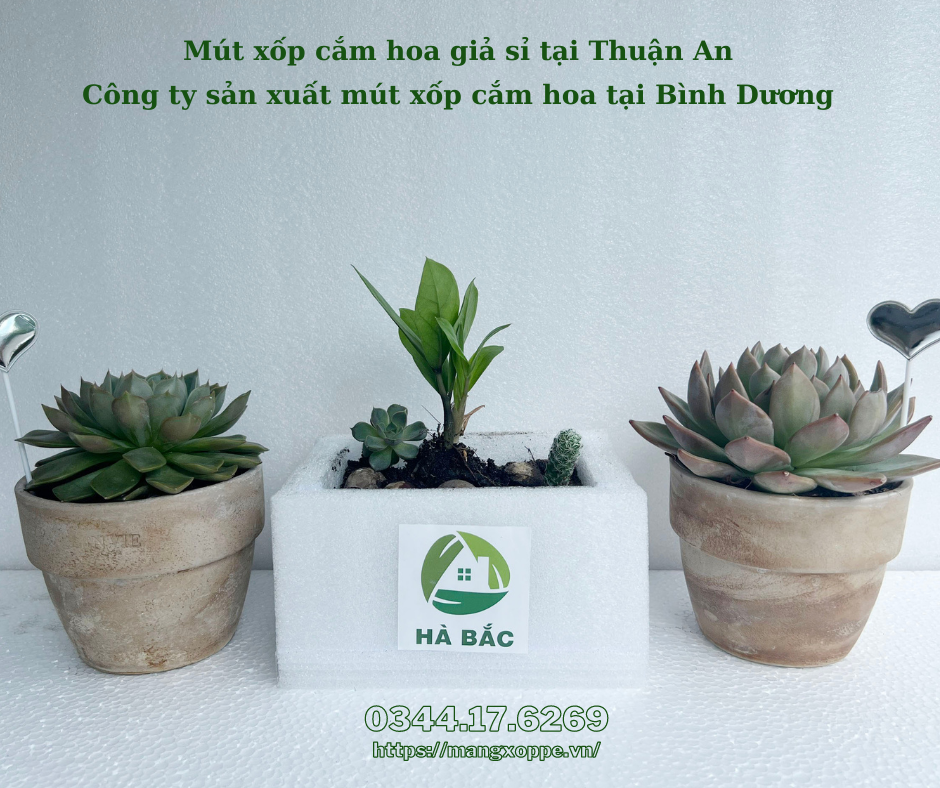 mut-xop-cam-hoa-gia-si-tai-thuan-an