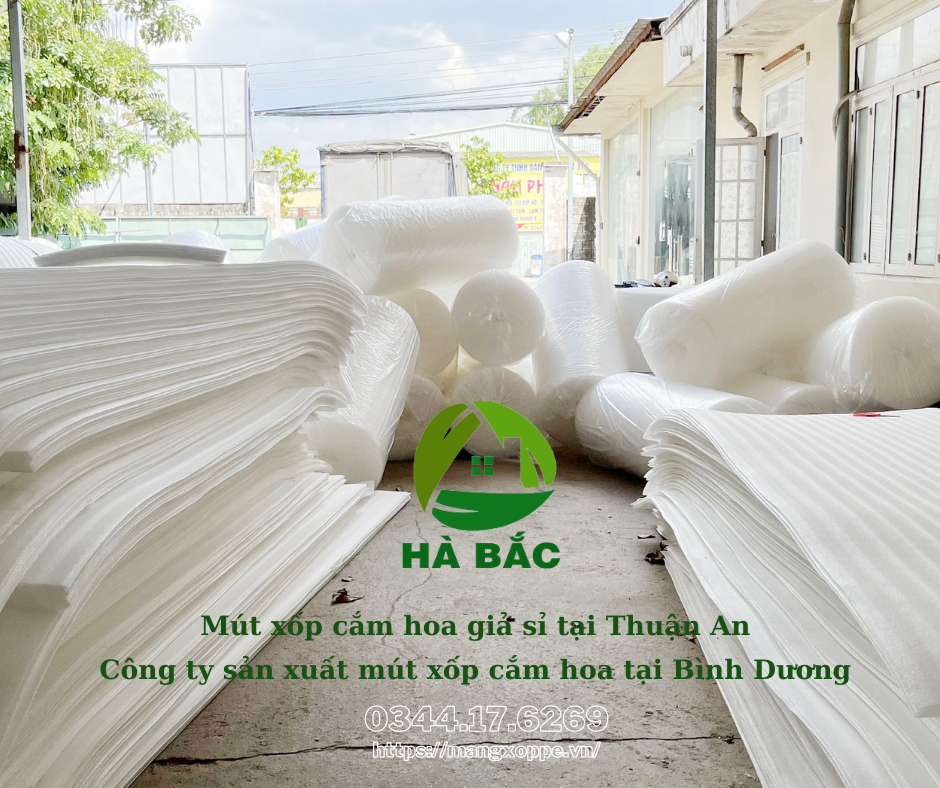mut-xop-cam-hoa-gia-si-tai-thuan-an mut-xop-cam-hoa-gia-si-tai-thuan-an