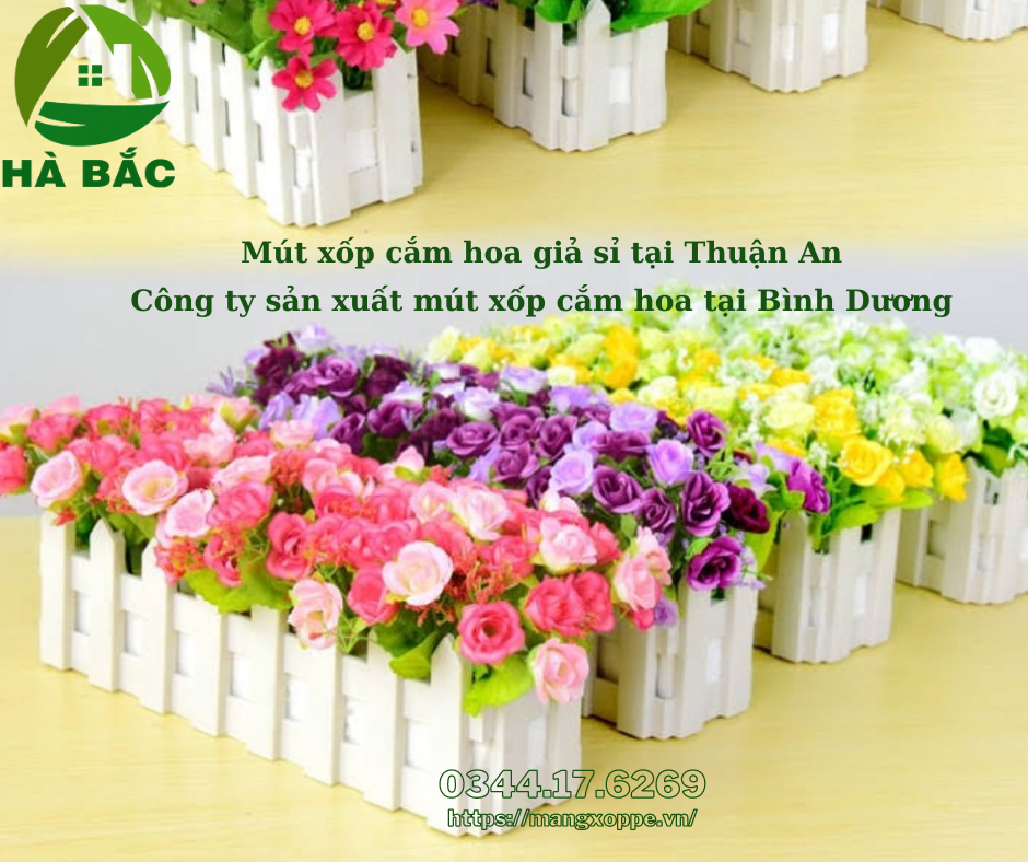 mut-xop-cam-hoa-gia-si-tai-thuan-an mut-xop-cam-hoa-gia-si-tai-thuan-an