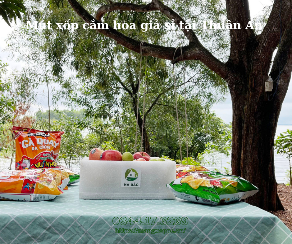 mut-xop-cam-hoa-gia-si-tai-thuan-an mut-xop-cam-hoa-gia-si-tai-thuan-an