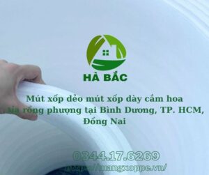 mut-xop-deo-mut-xop-day-cam-hoa-tia-rong-phuong-tai-binh-duong-tphcm-dong-nai