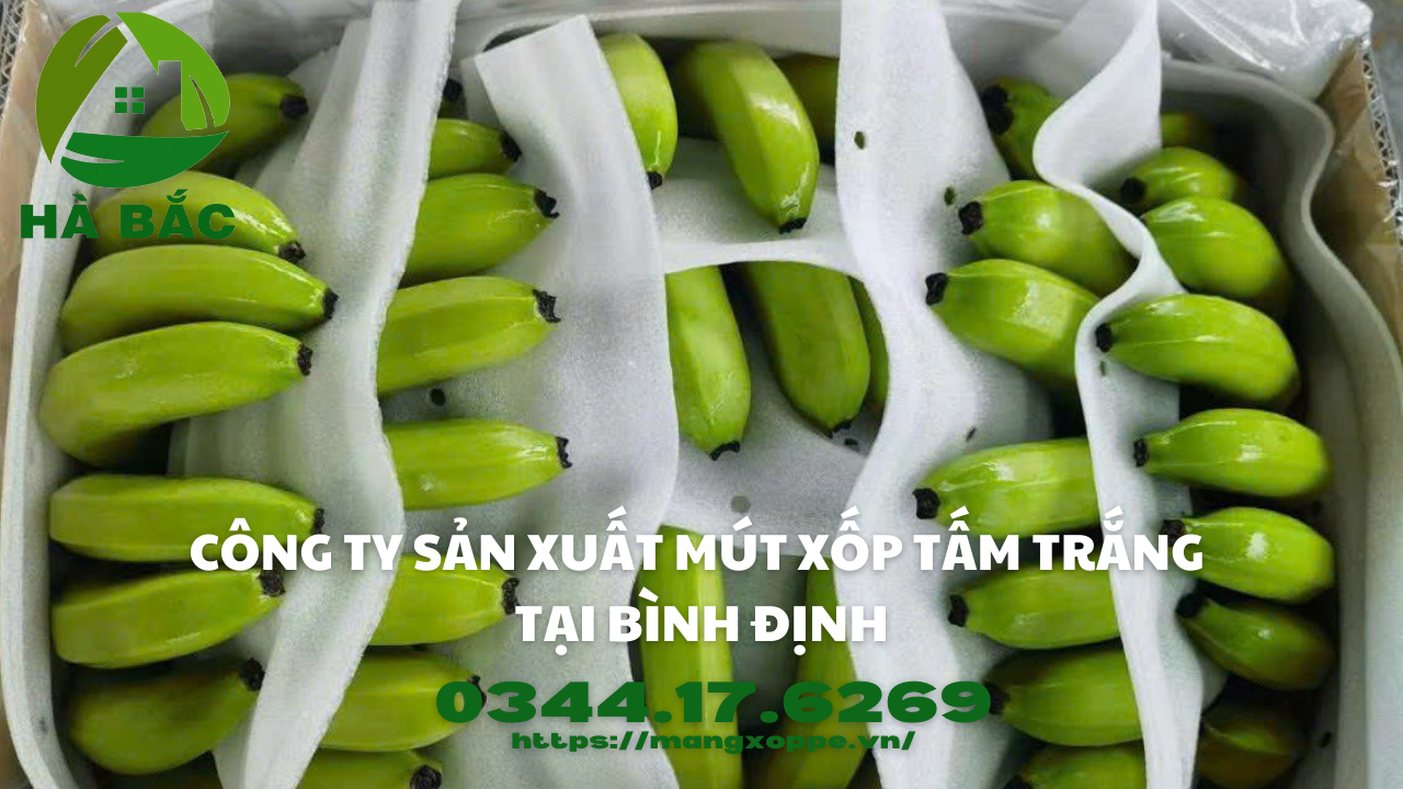 mut-xop-tam-trang-tai-binh-dinh mut-xop-tam-trang-tai-binh-dinh