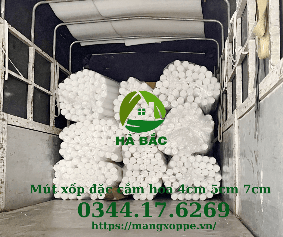 mut-xop-dac-cam-hoa-4cm-5cm-7cm mut-xop-dac-cam-hoa-4cm-5cm-7cm