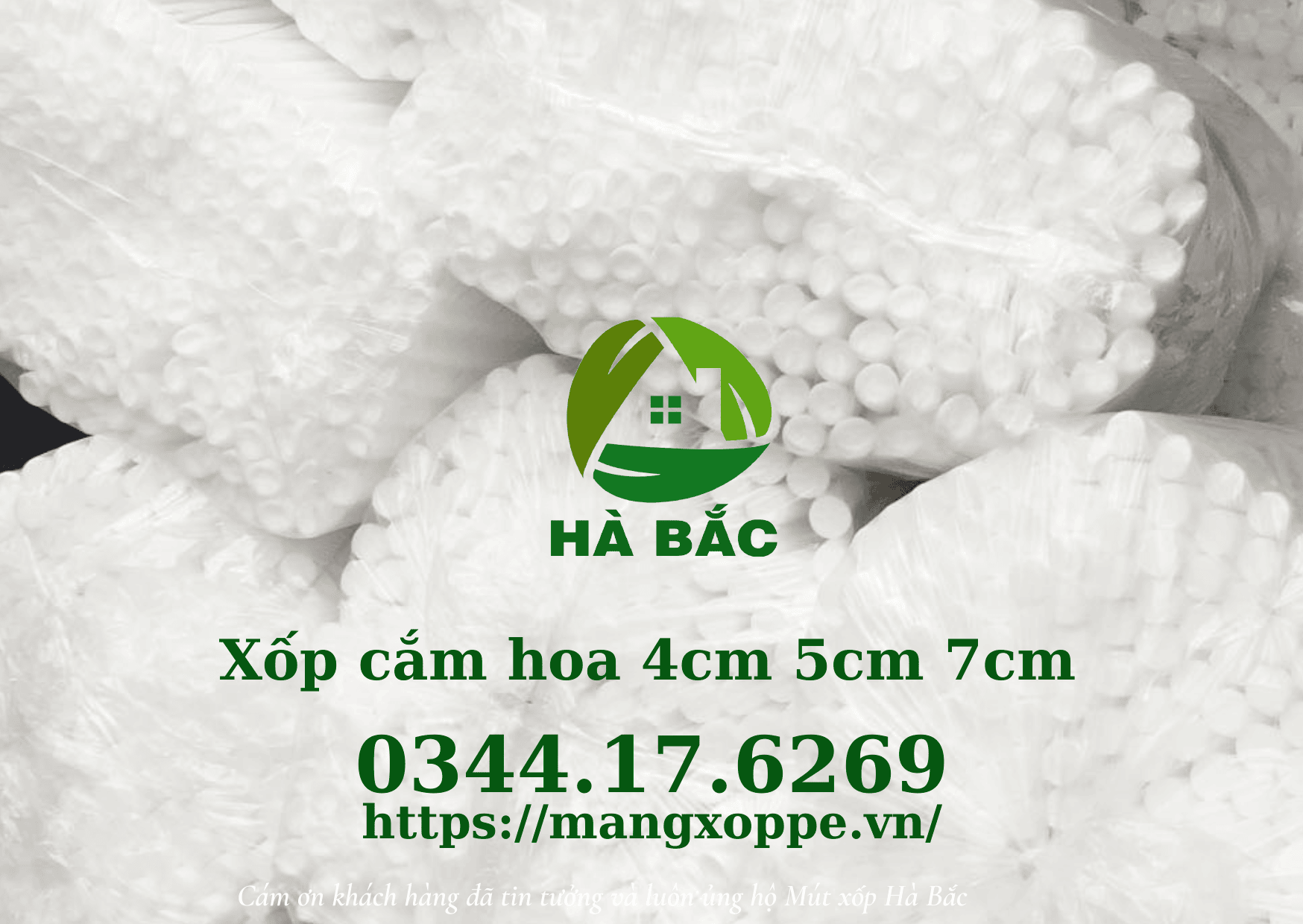 xop-cam-hoa-4cm-5cm-7cm-tai-quang-nam xop-cam-hoa-4cm-5cm-7cm-tai-quang-nam