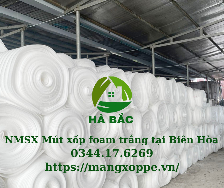 mut-xop-foam-trang-tai-bien-hoa mut-xop-foam-trang-tai-bien-hoa