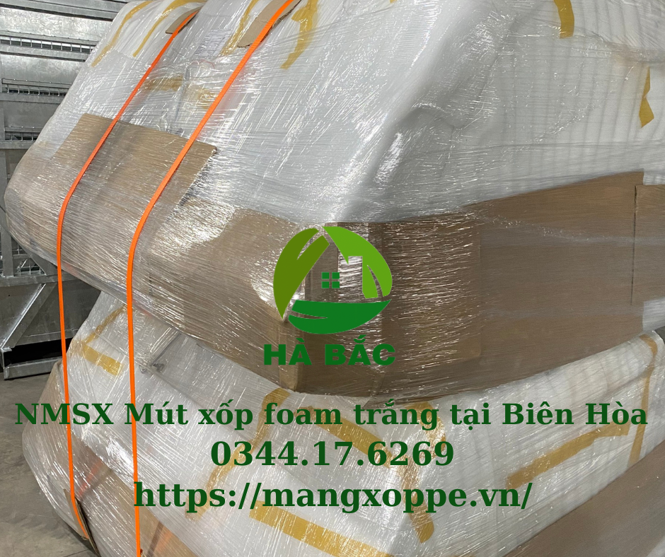 mut-xop-foam-trang-tai-bien-hoa mut-xop-foam-trang-tai-bien-hoa