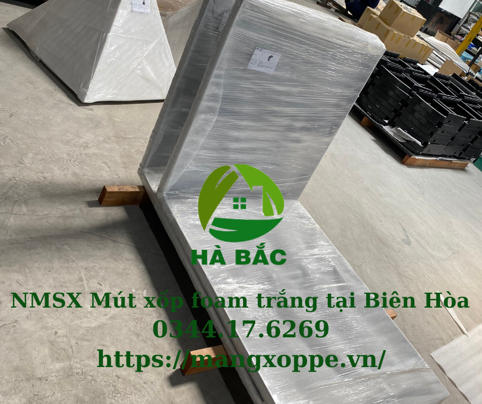 mut-xop-foam-trang-tai-bien-hoa mut-xop-foam-trang-tai-bien-hoa