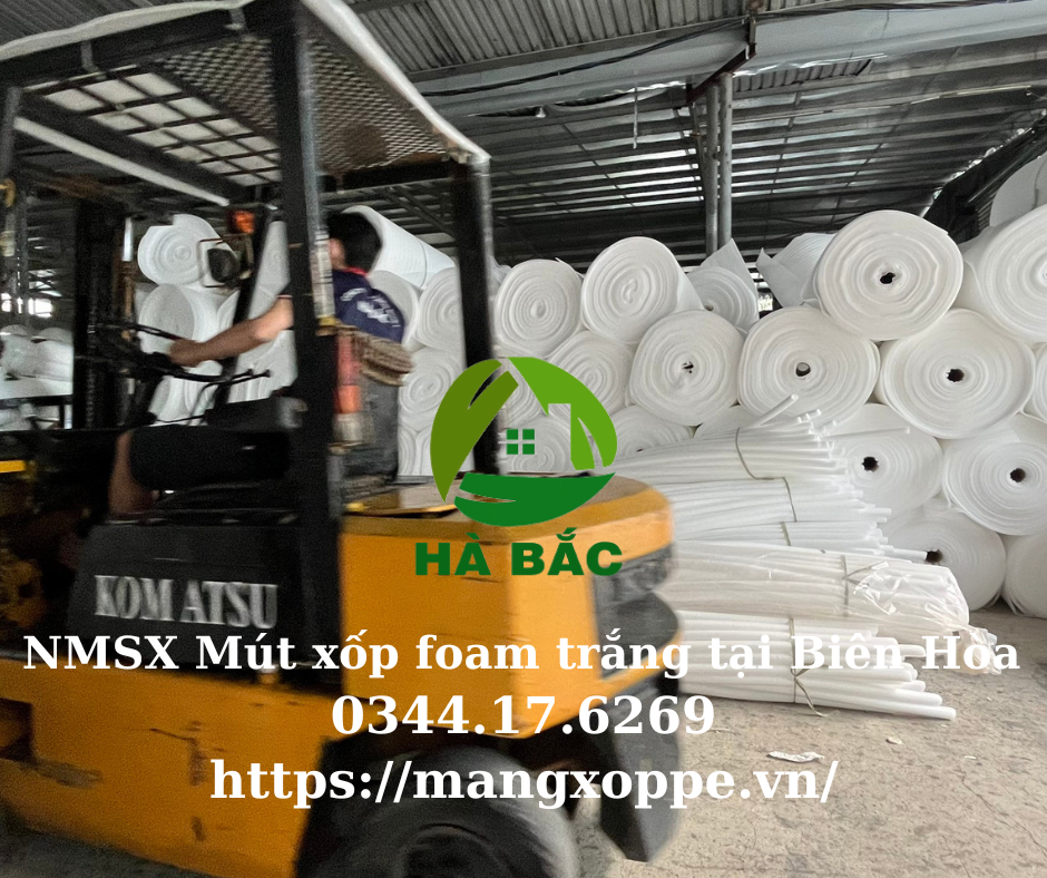 mut-xop-foam-trang-tai-bien-hoa mut-xop-foam-trang-tai-bien-hoa