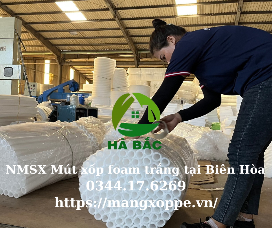 mut-xop-foam-trang-tai-bien-hoa mut-xop-foam-trang-tai-bien-hoa