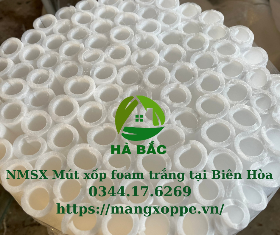 mut-xop-foam-trang-tai-bien-hoa mut-xop-foam-trang-tai-bien-hoa